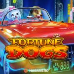 Slot Online Resmi Fortune Dogs Gonggongan Hoki Bawa Cuan