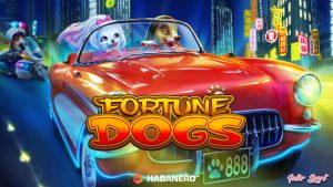 Slot Online Resmi Fortune Dogs Gonggongan Hoki Bawa Cuan