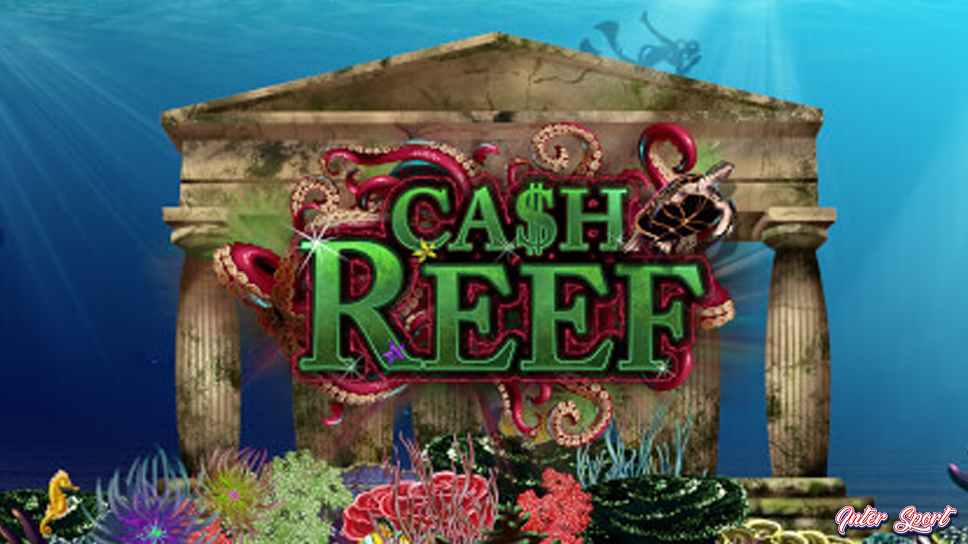 Cash Reef Hadirkan 5 Konsep Menarik yang Layak Diperhatikan