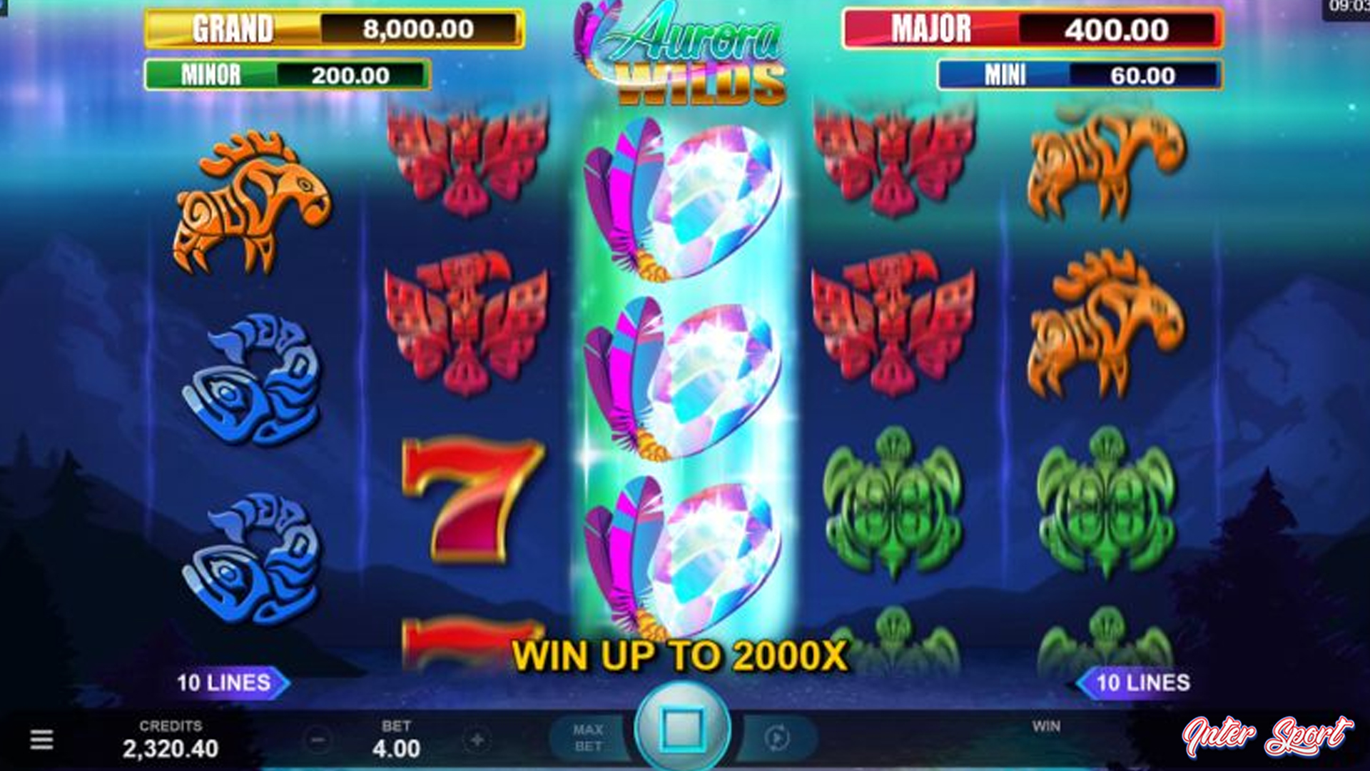Aurora Wilds Berisi 5 Langkah Mudah Agar Makin Optimal