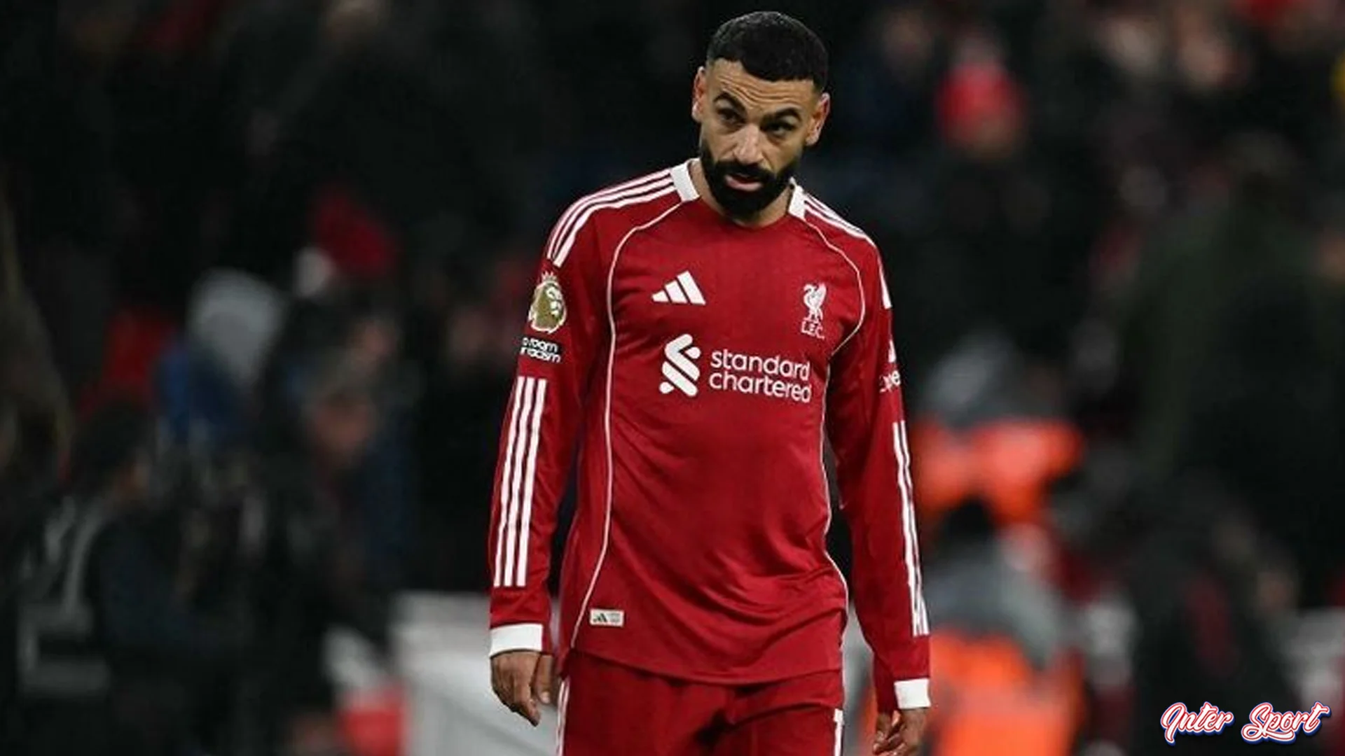 Pelatih Mesir dengan 5 Respons Unik Usai Kritik Panen Salah 2 Pelatih Mesir dengan 5 Respons Unik Usai Kritik Panen Salah