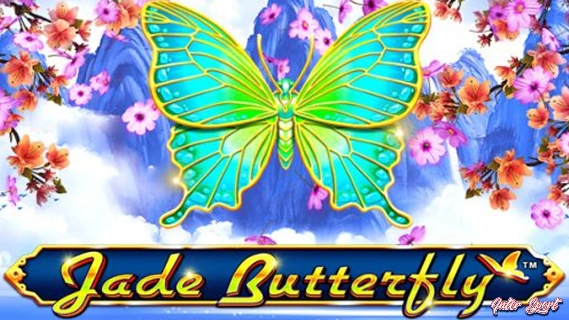 Gak Nyesel Tahu! 5 Pesona Jade Butterfly yang Baru Booming 1 Gak Nyesel Tahu! 5 Pesona Jade Butterfly yang Baru Booming