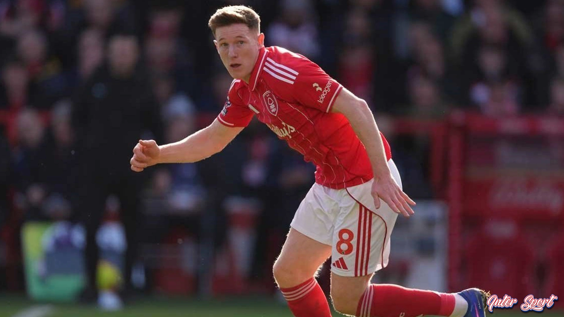 Heboh Man United Rencanakan 2 Transfer dari Nottingham Forest 1 Heboh Man United Rencanakan 2 Transfer dari Nottingham Forest