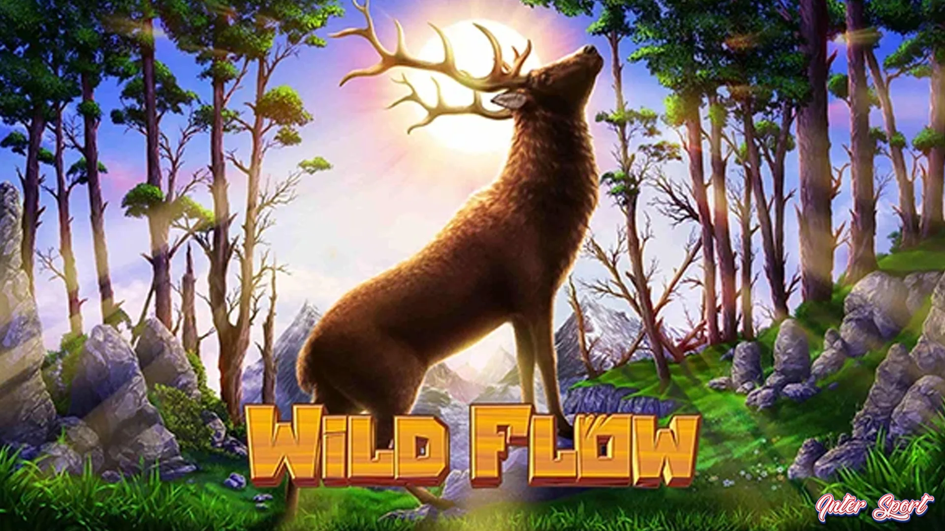 5 Bongkar Jujur Wild Flow Gak Seindah Ekspektasi